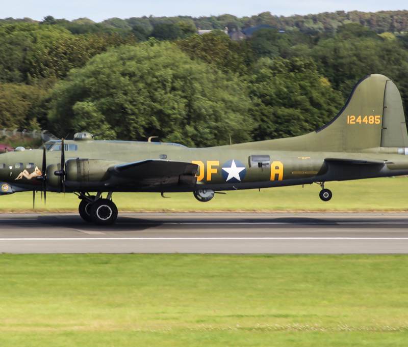  - Warbird