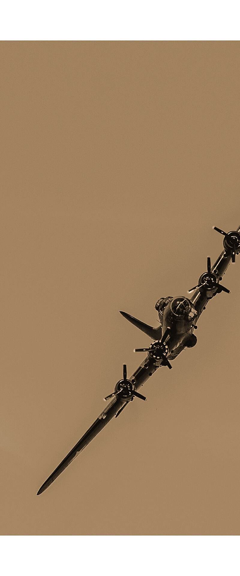  - Warbird