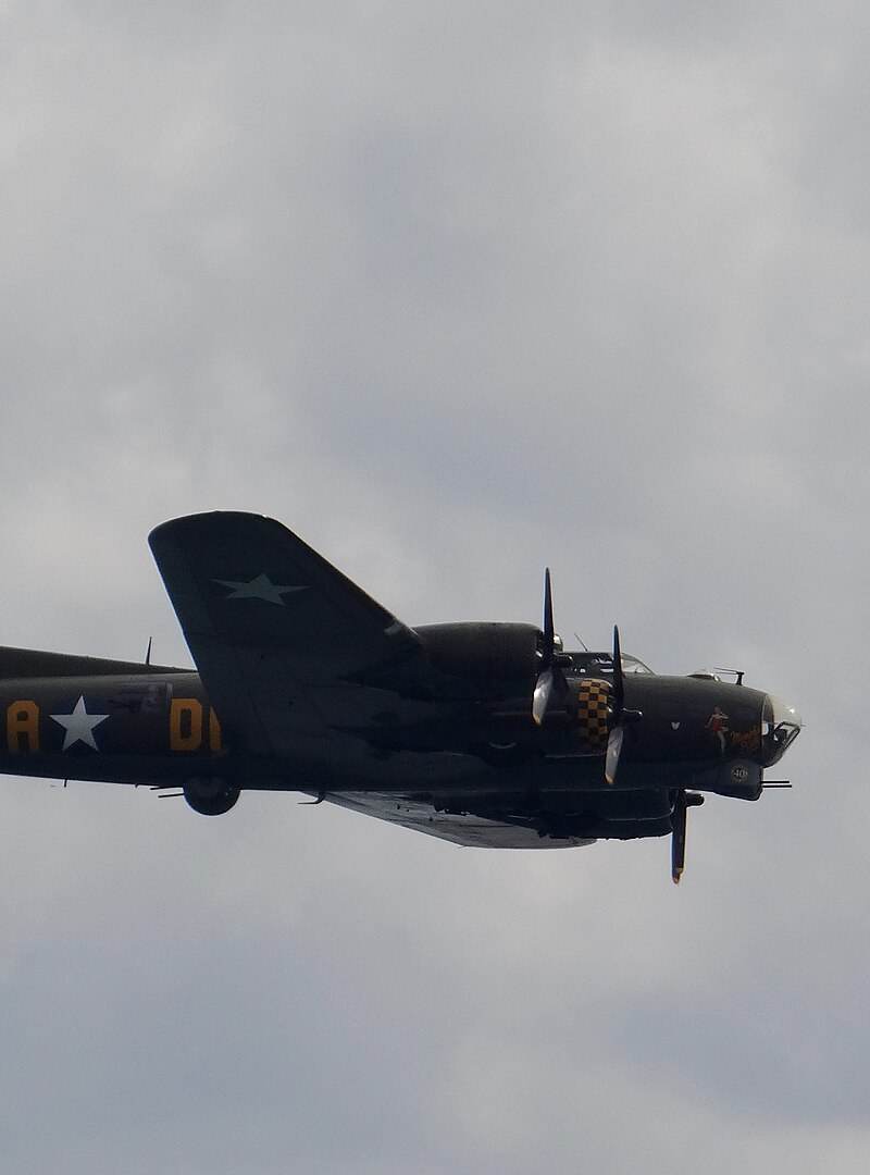  - Warbird