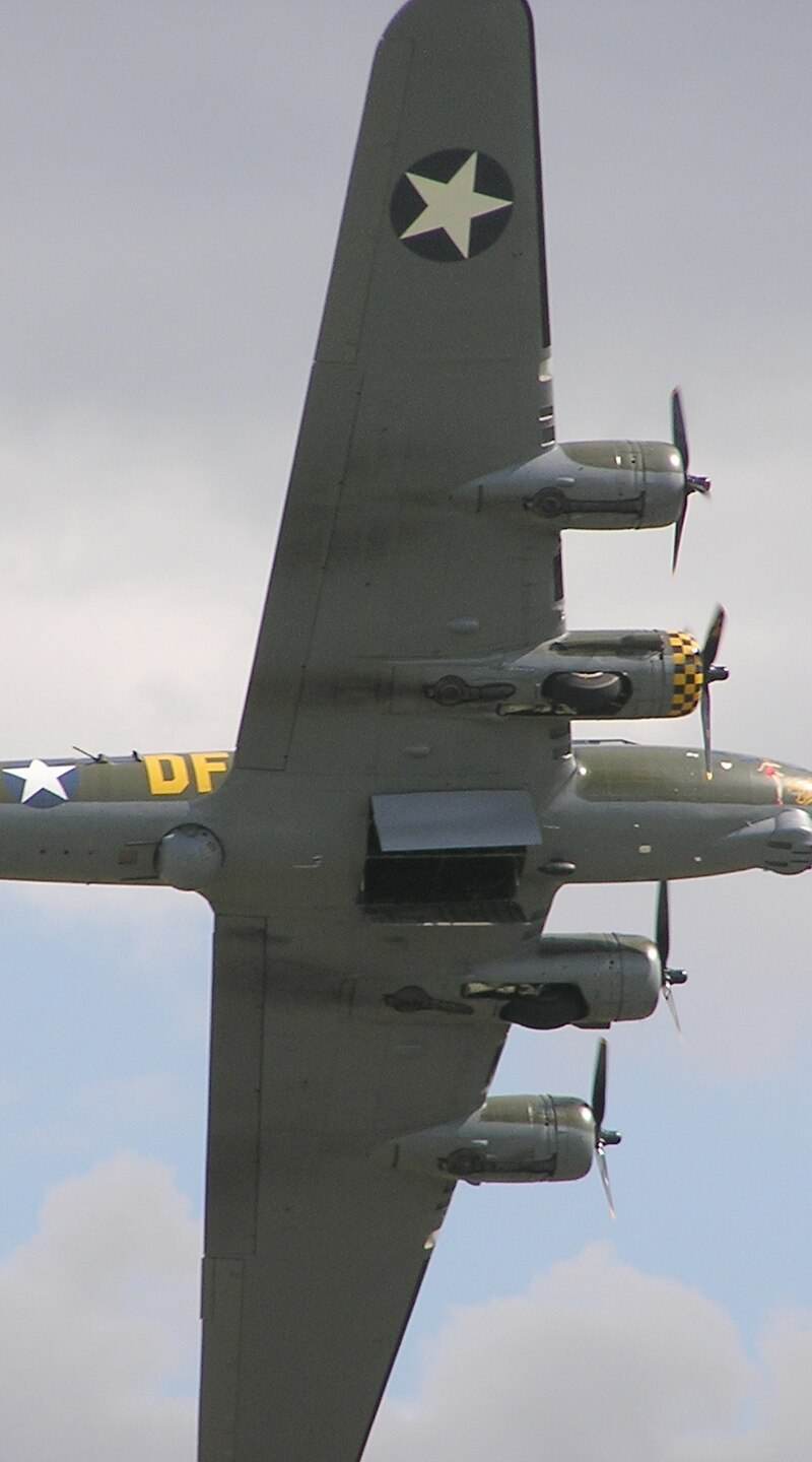  - Warbird