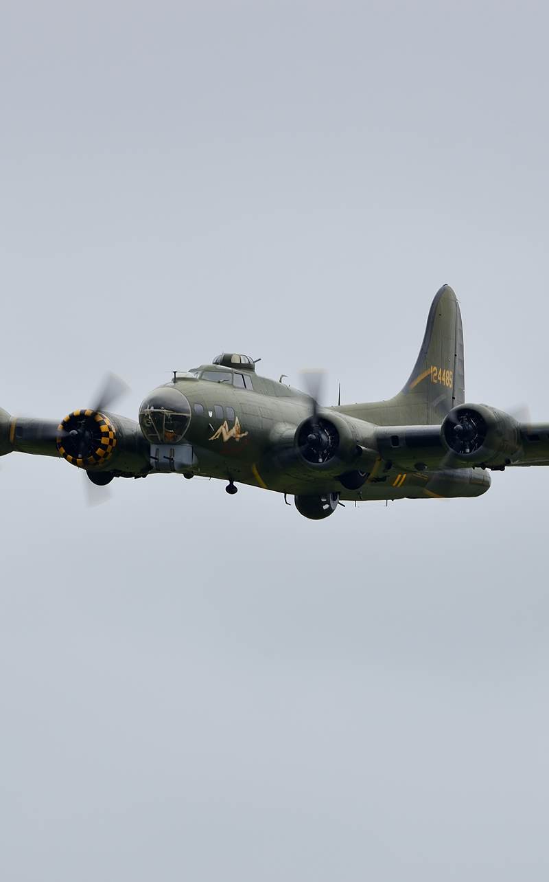  - Warbird
