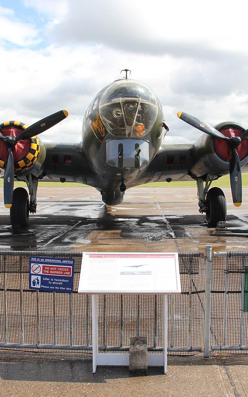  - Warbird