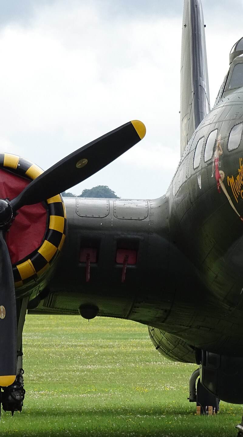  - Warbird