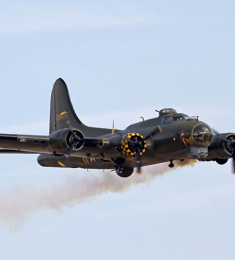  - Warbird