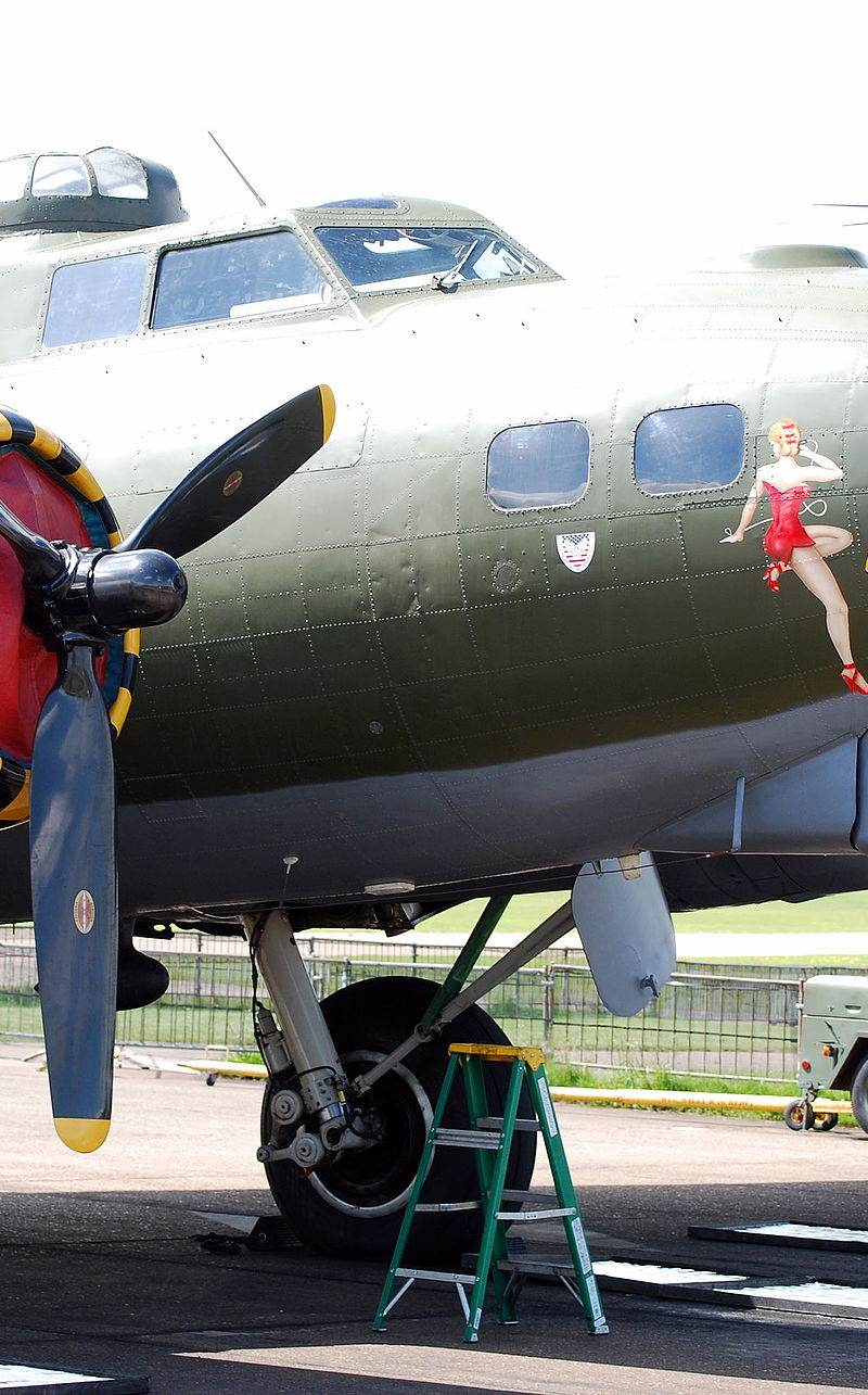  - Warbird