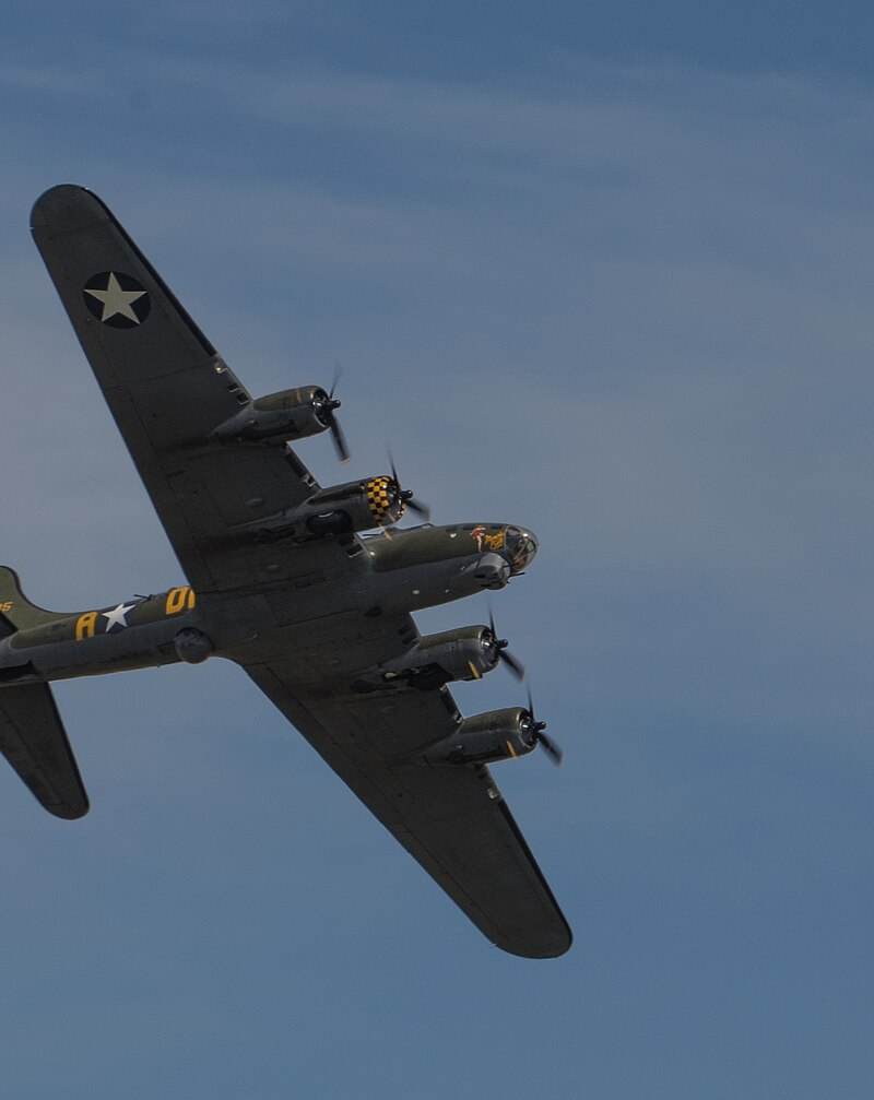  - Warbird