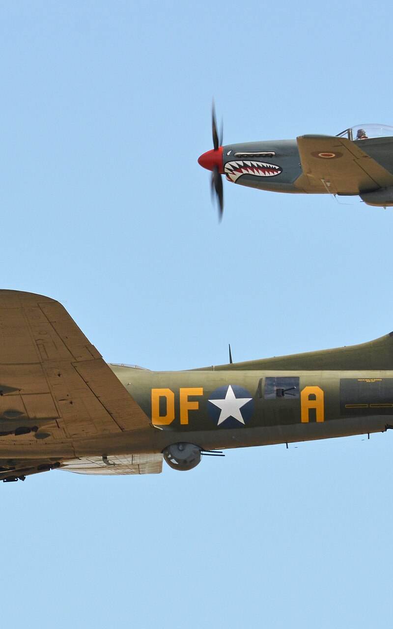  - Warbird