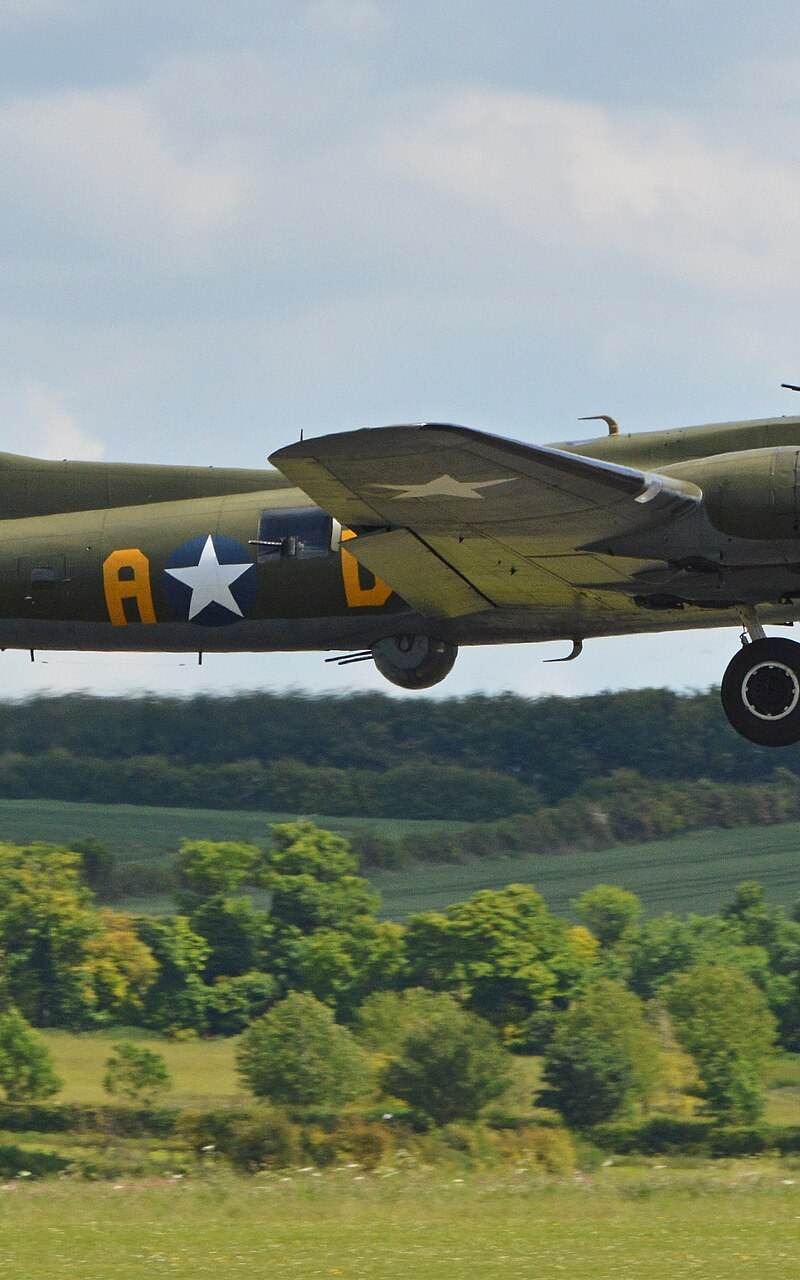  - Warbird