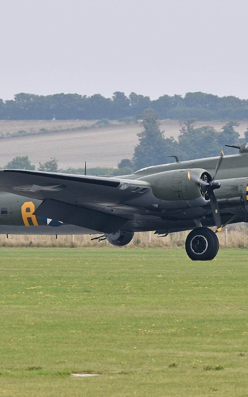  - Warbird
