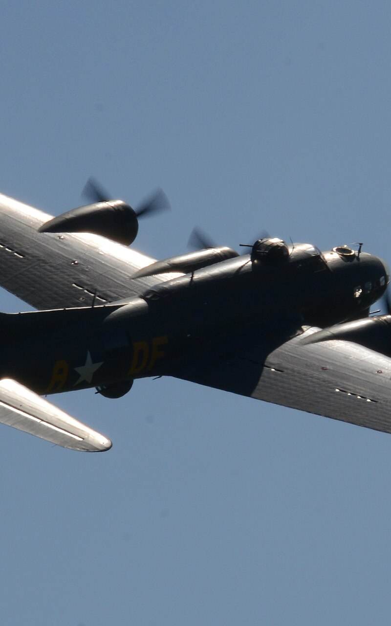  - Warbird
