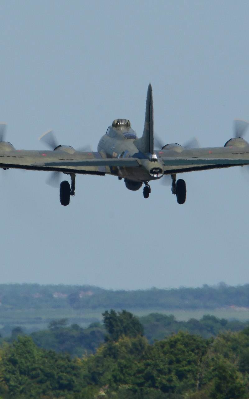  - Warbird