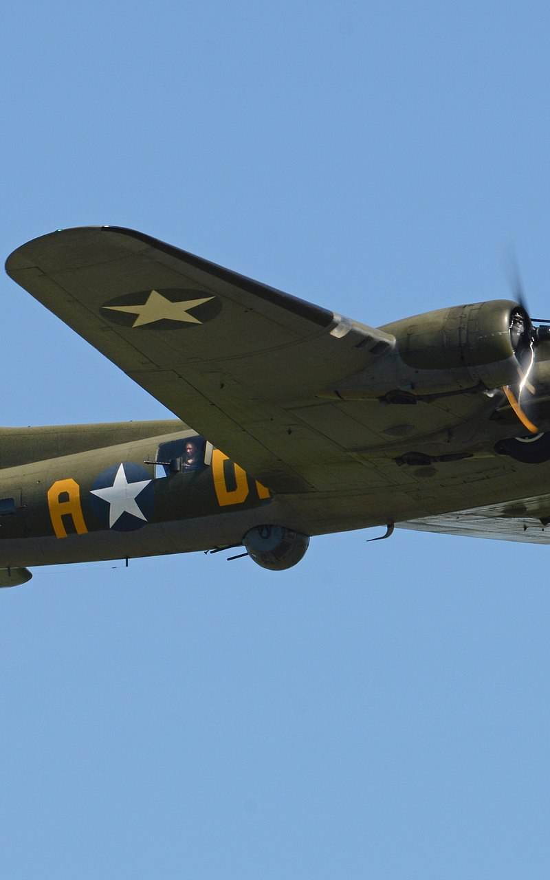  - Warbird