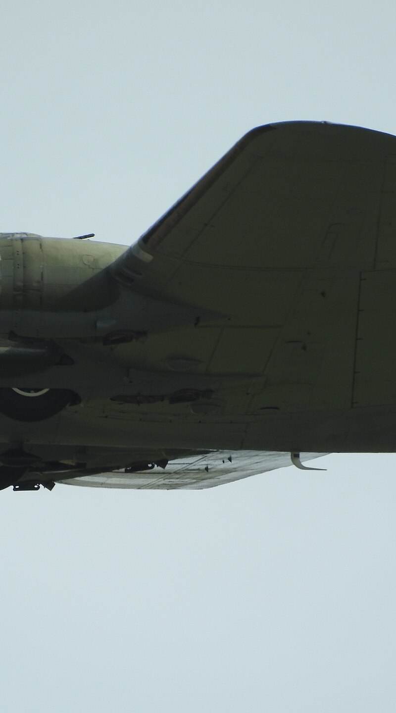  - Warbird
