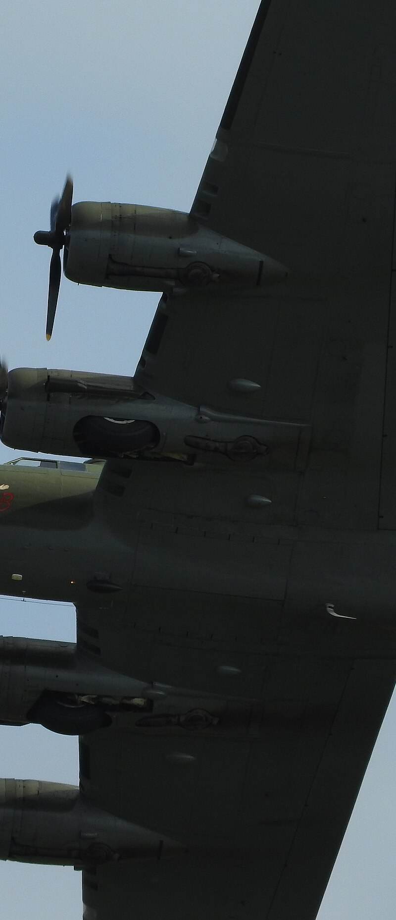  - Warbird