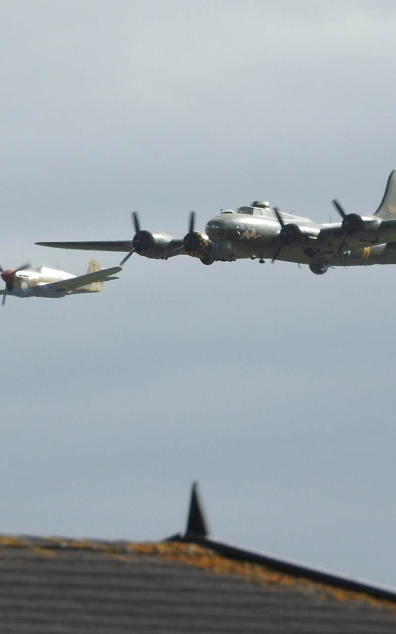  - Warbird