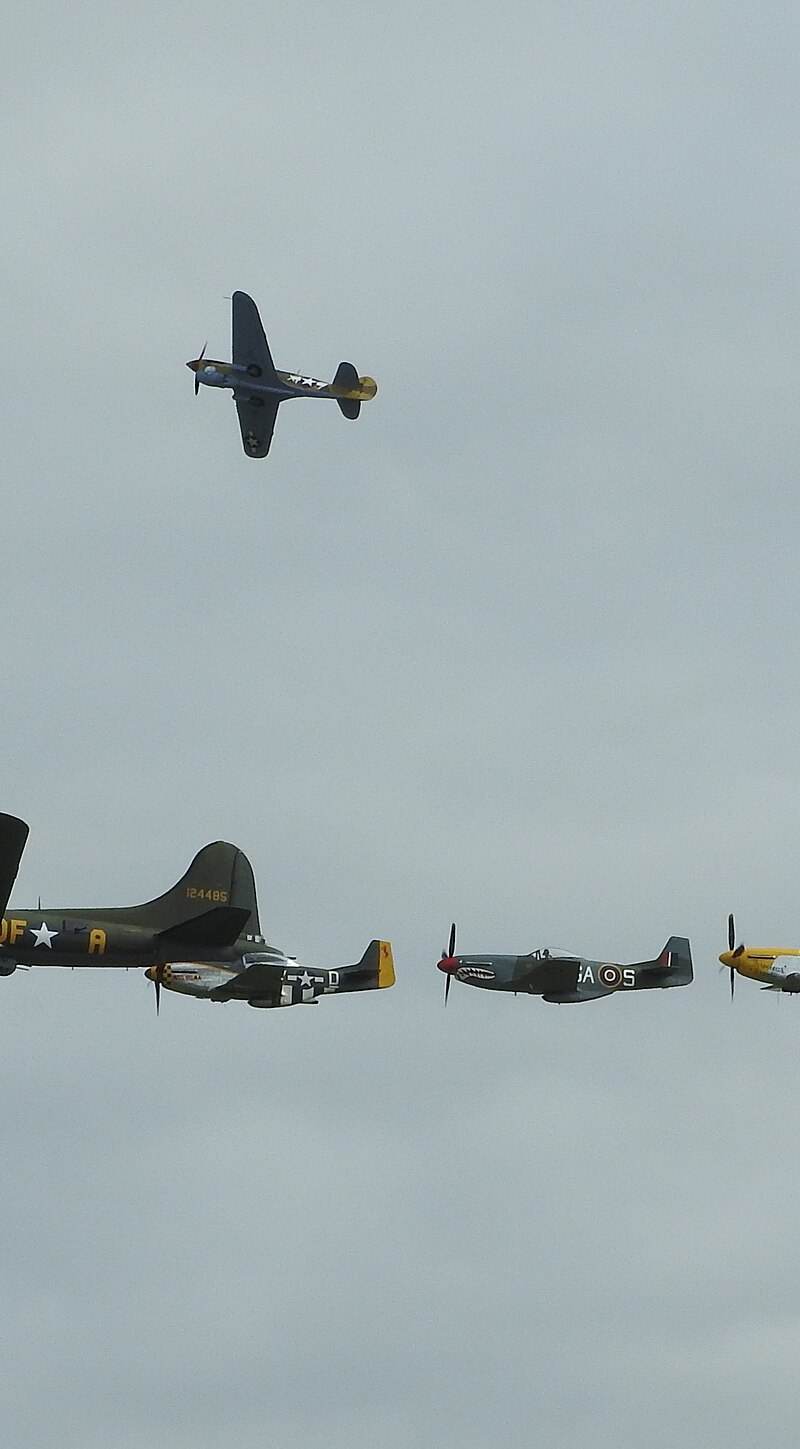  - Warbird