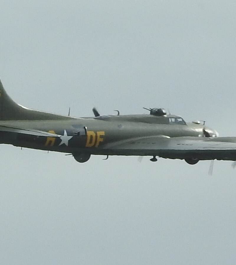  - Warbird