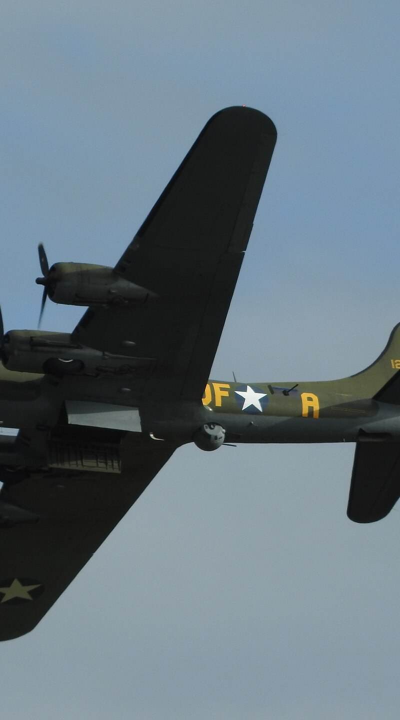  - Warbird