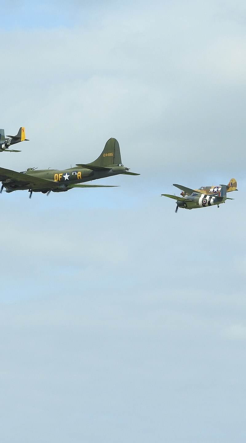  - Warbird