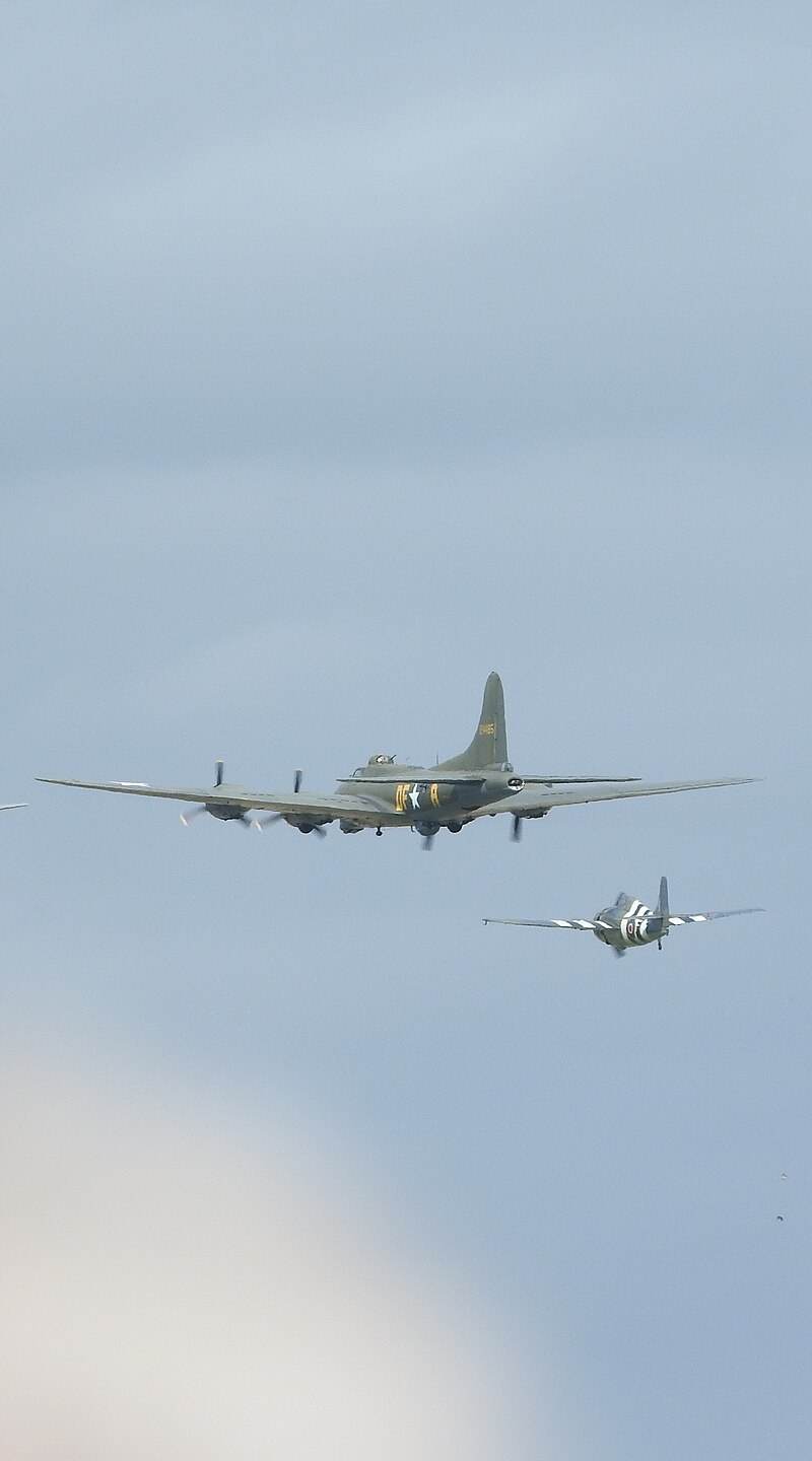  - Warbird