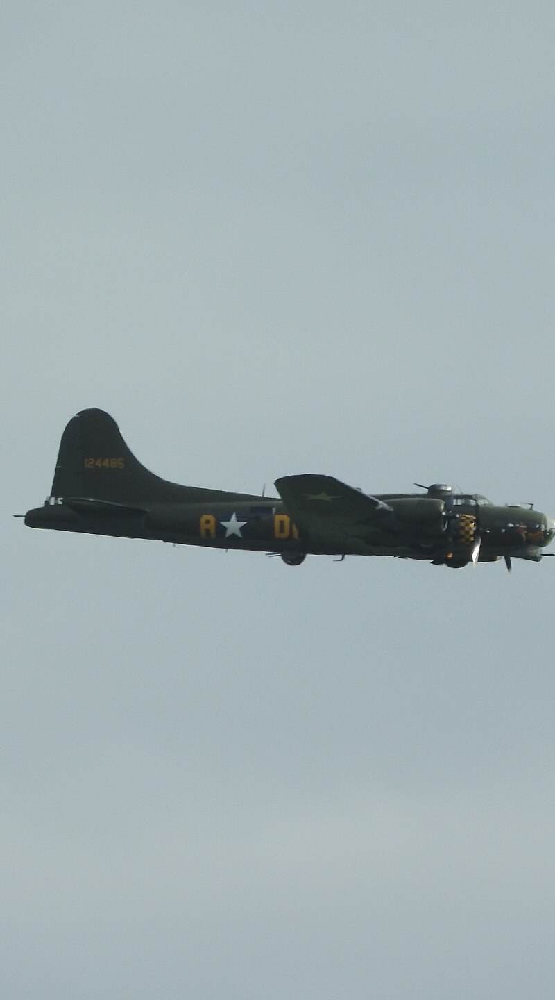  - Warbird