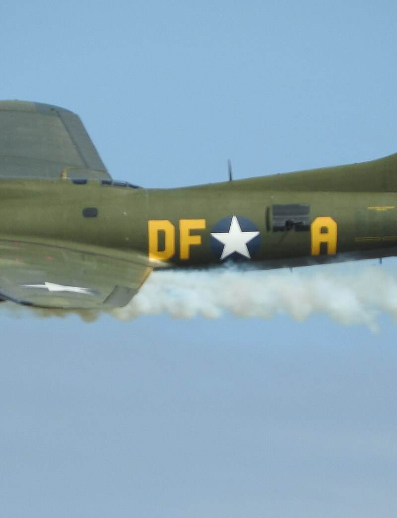  - Warbird
