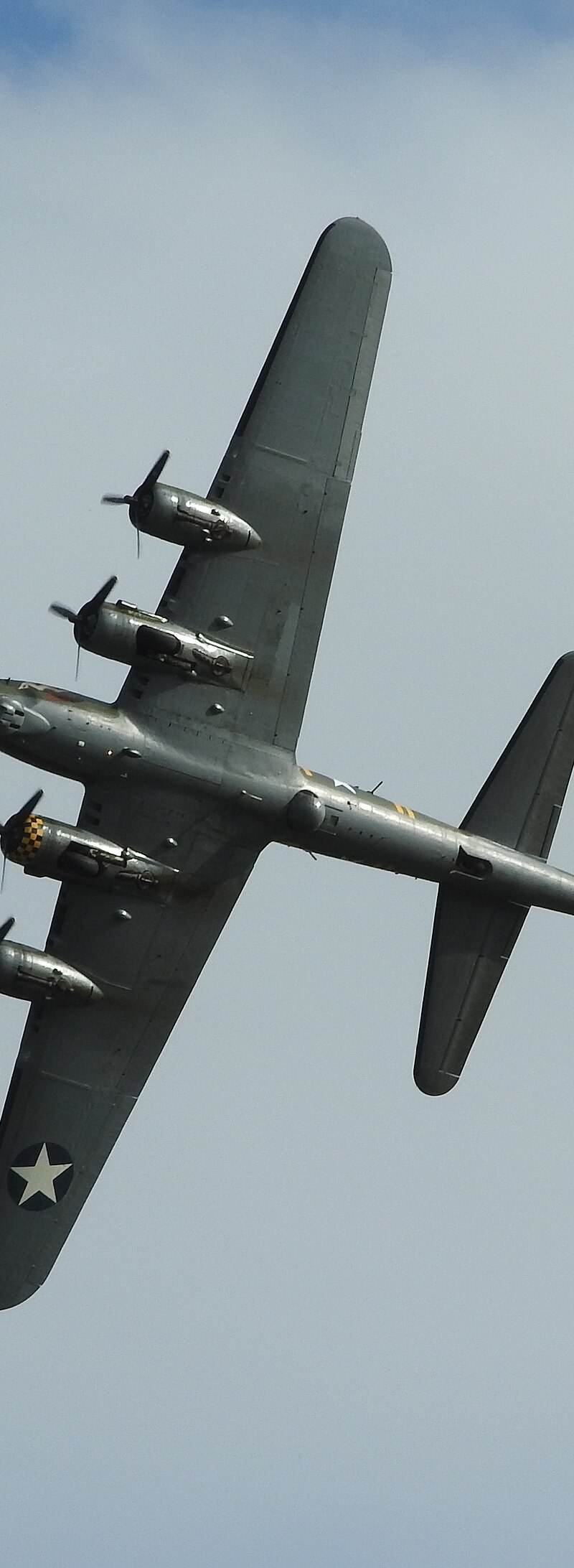  - Warbird