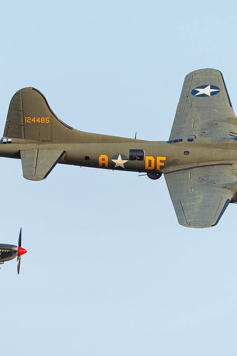  - Warbird