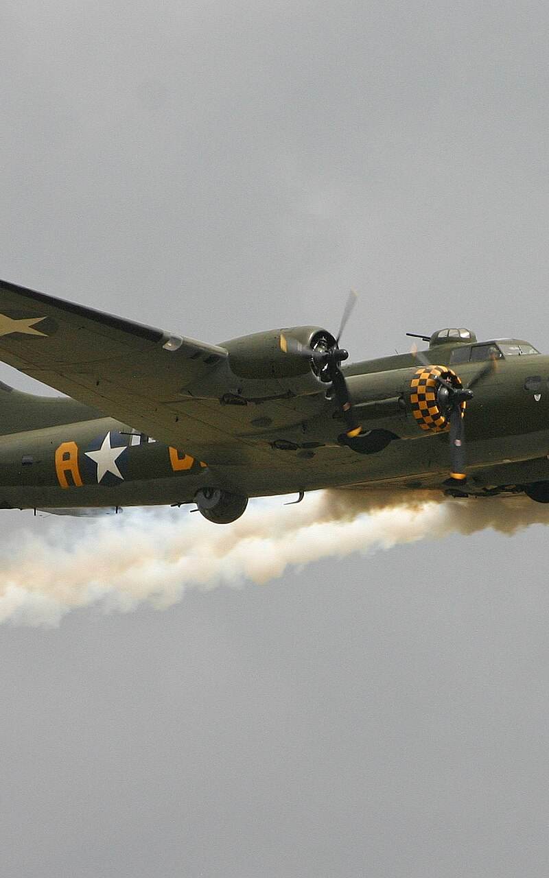  - Warbird