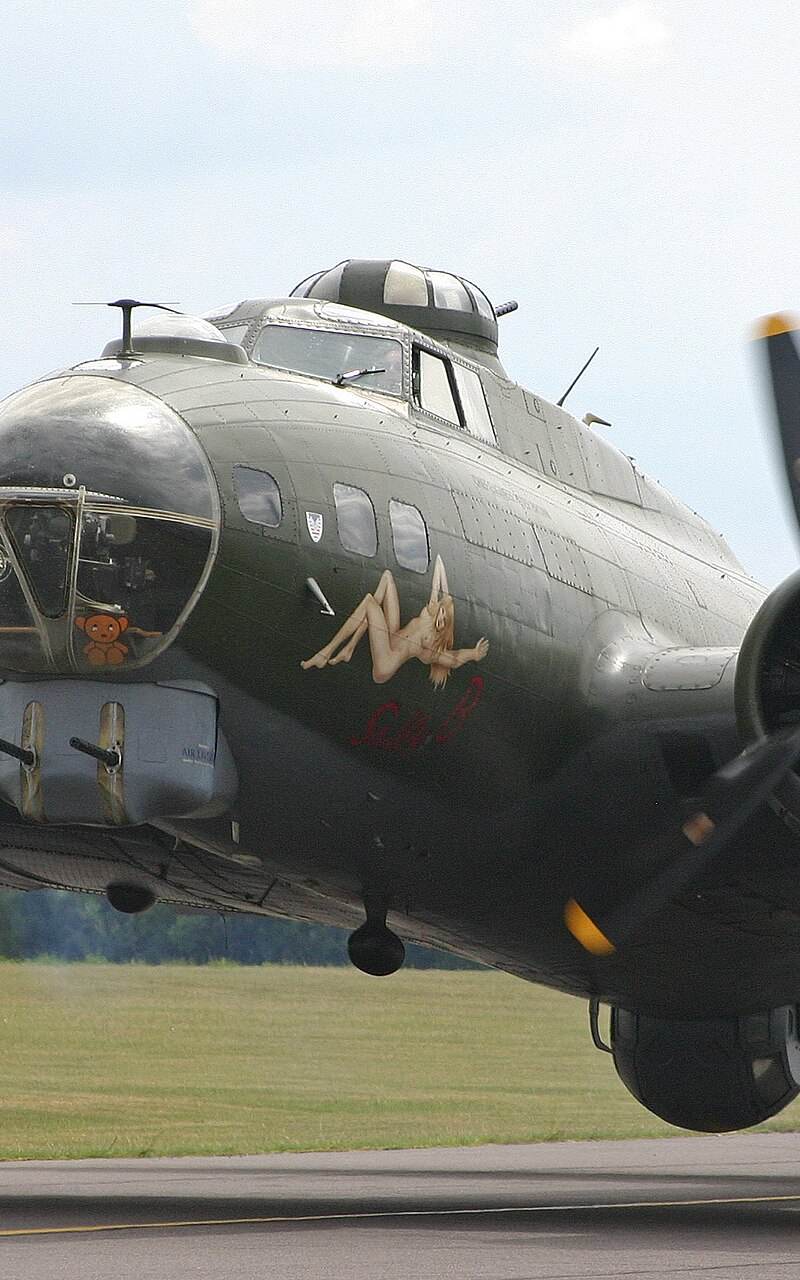  - Warbird
