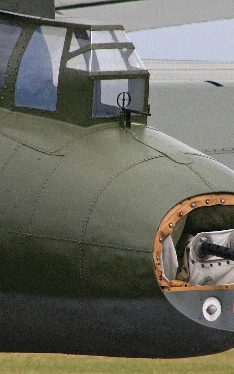  - Warbird