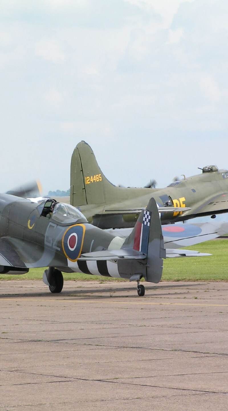  - Warbird