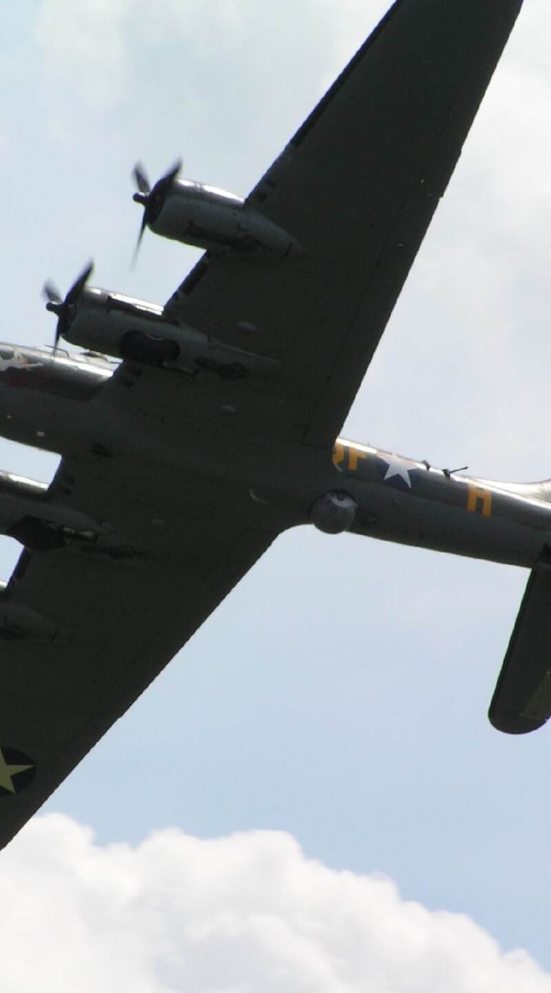  - Warbird