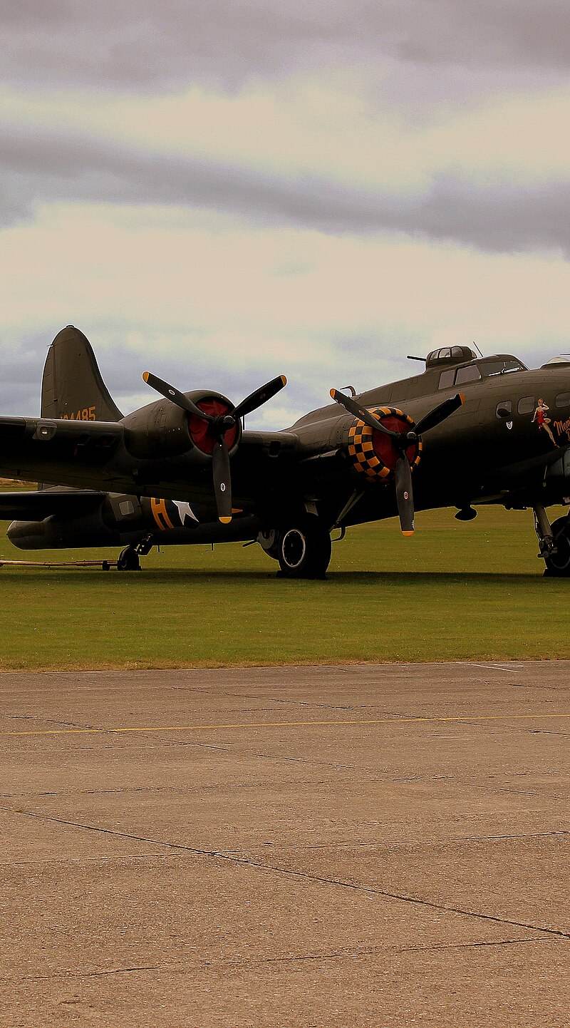  - Warbird