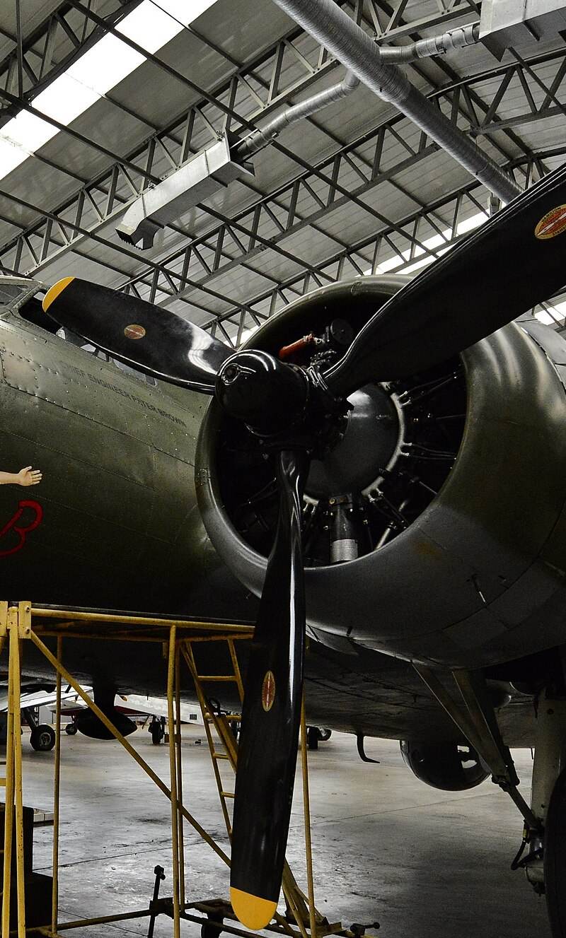  - Warbird