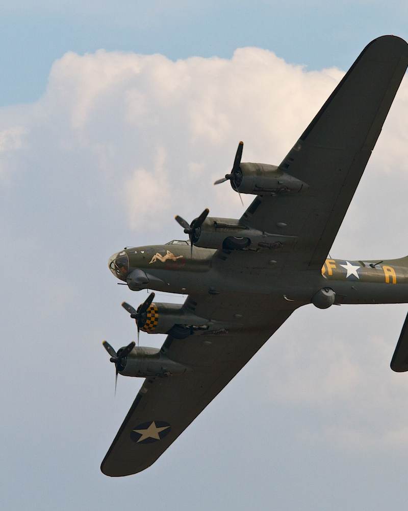  - Warbird