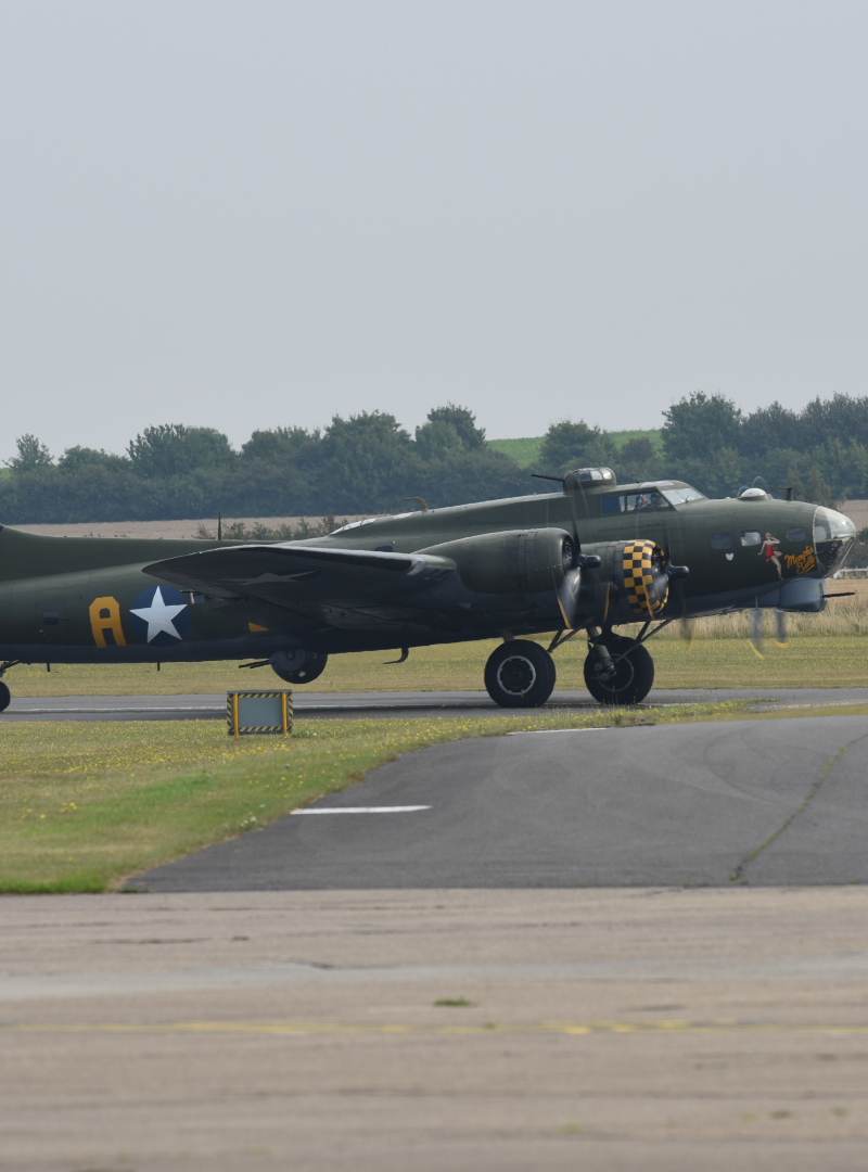  - Warbird