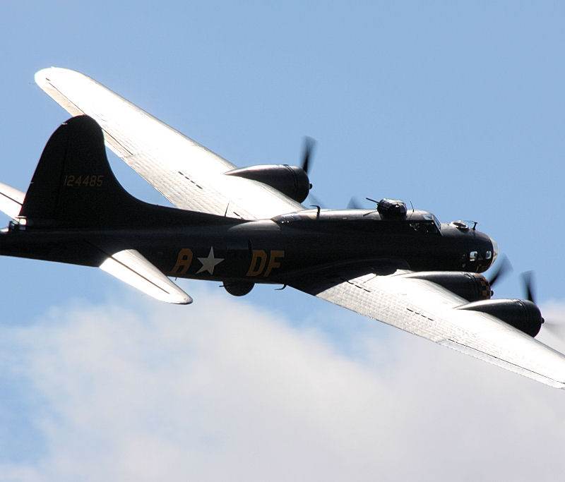  - Warbird