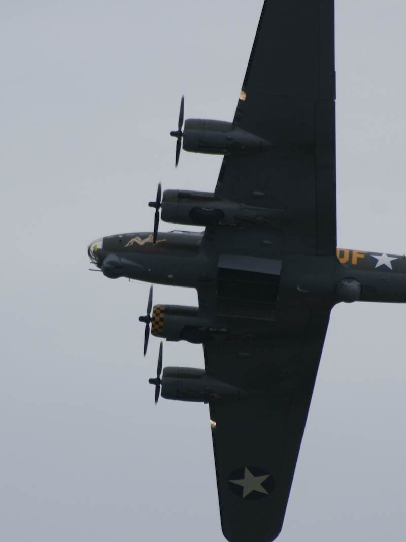  - Warbird