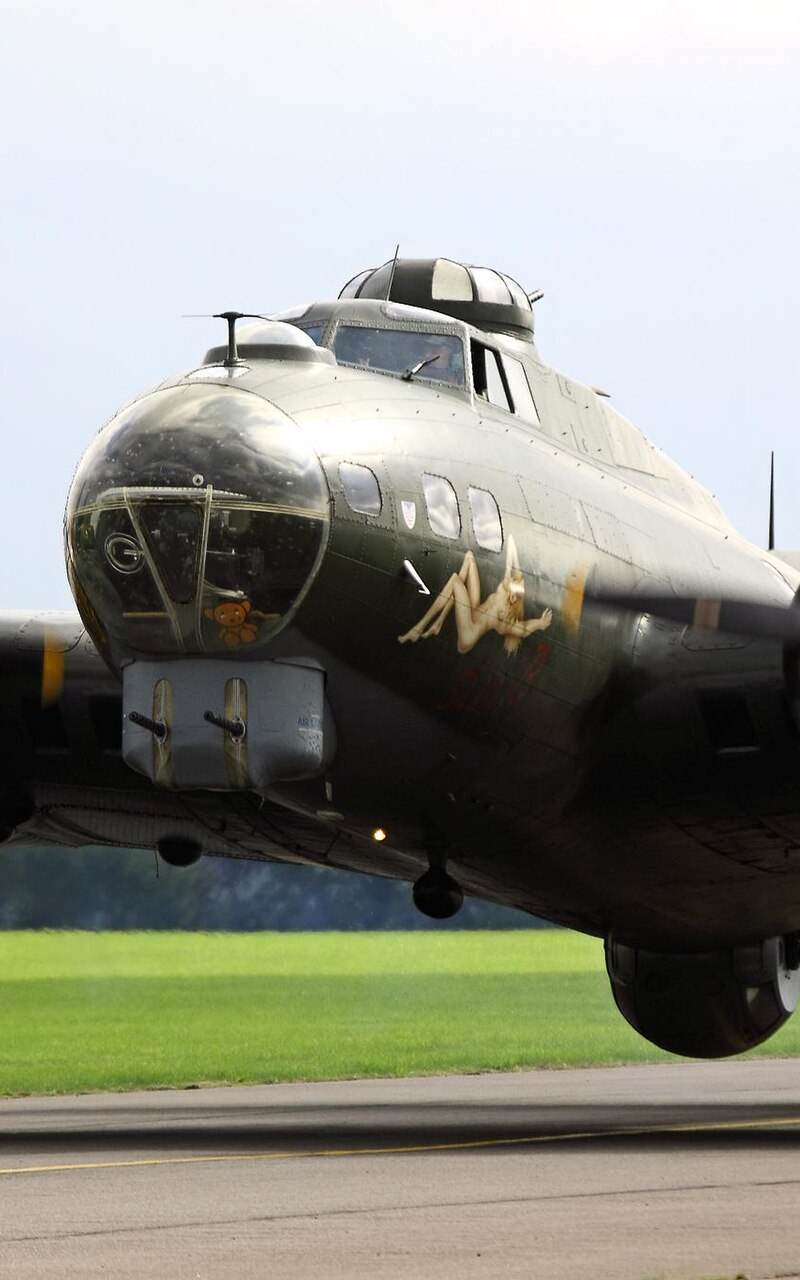  - Warbird