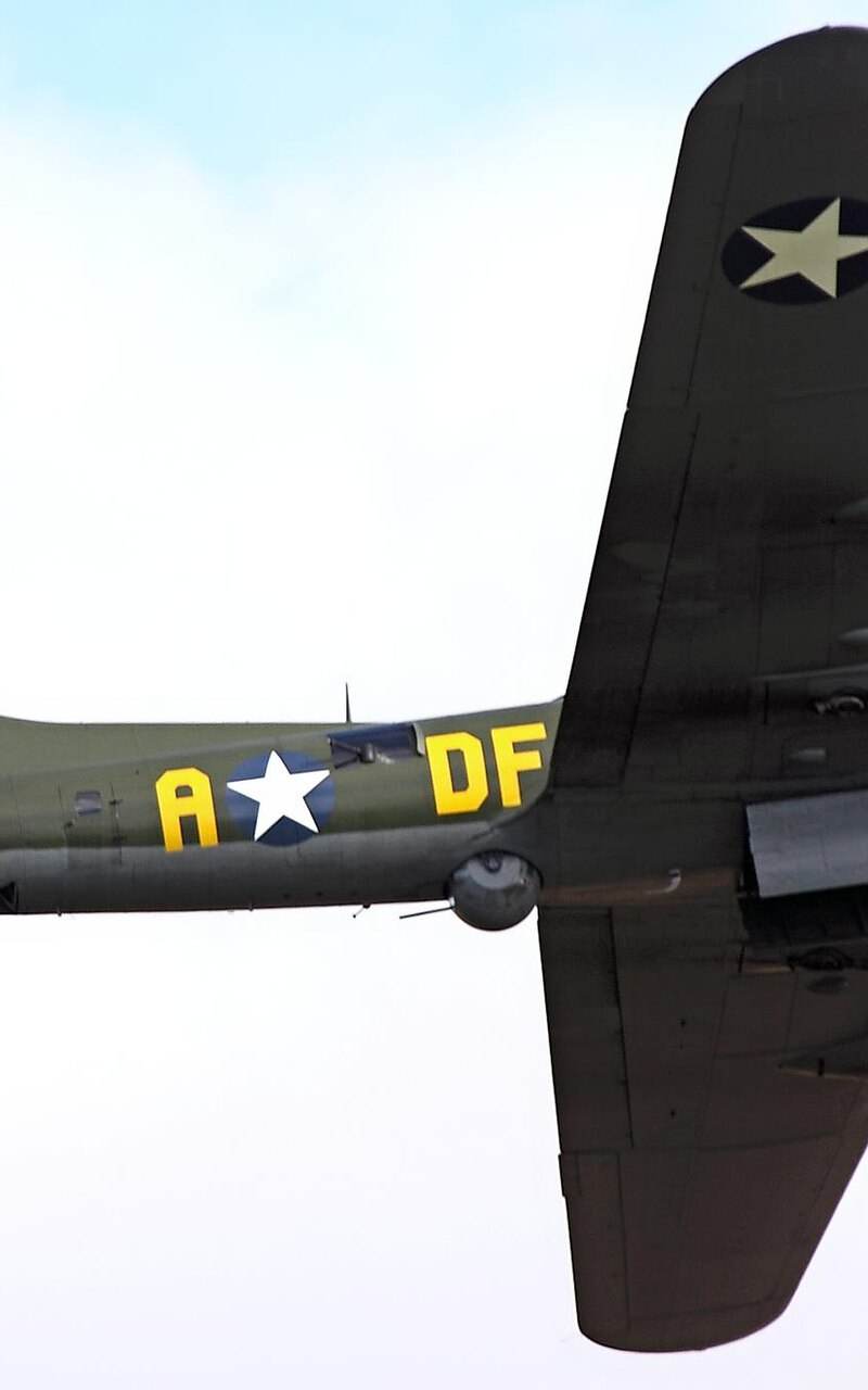  - Warbird