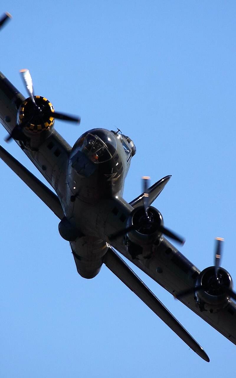  - Warbird