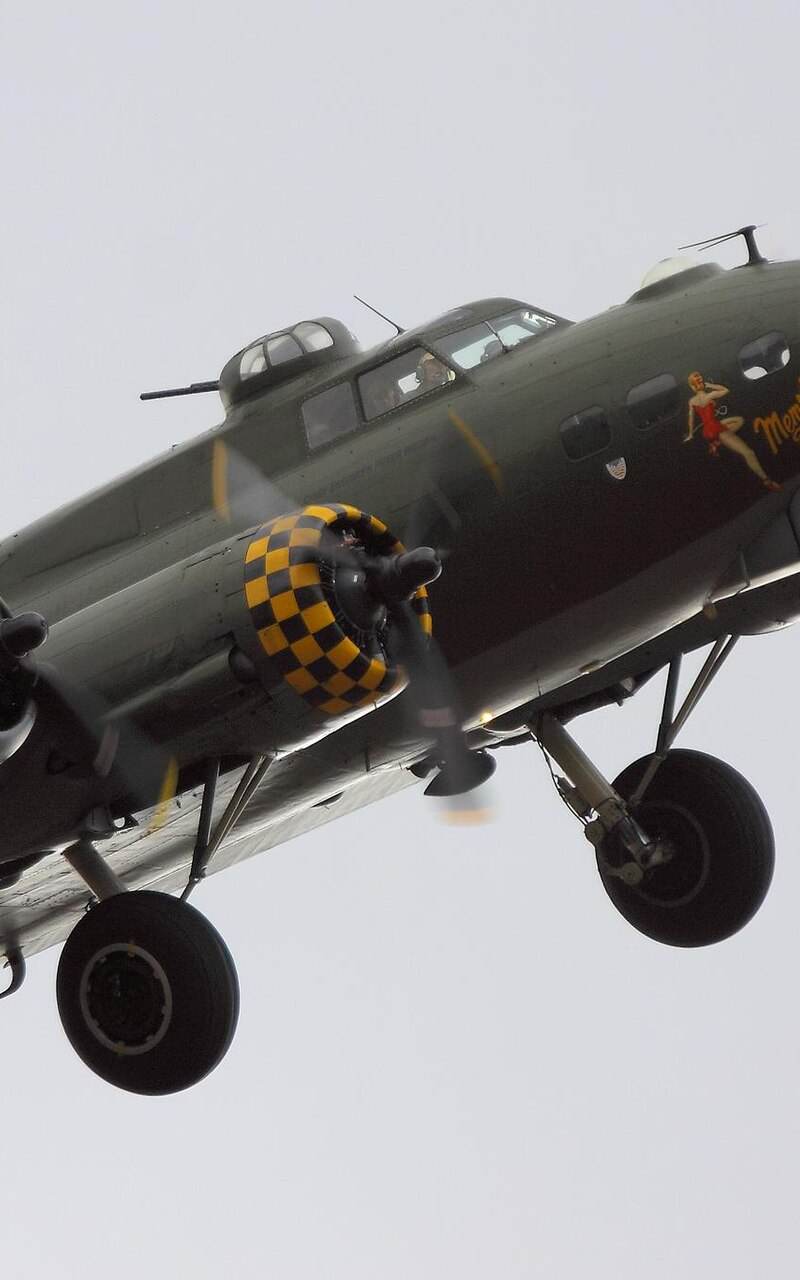  - Warbird
