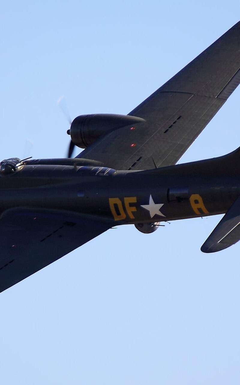  - Warbird