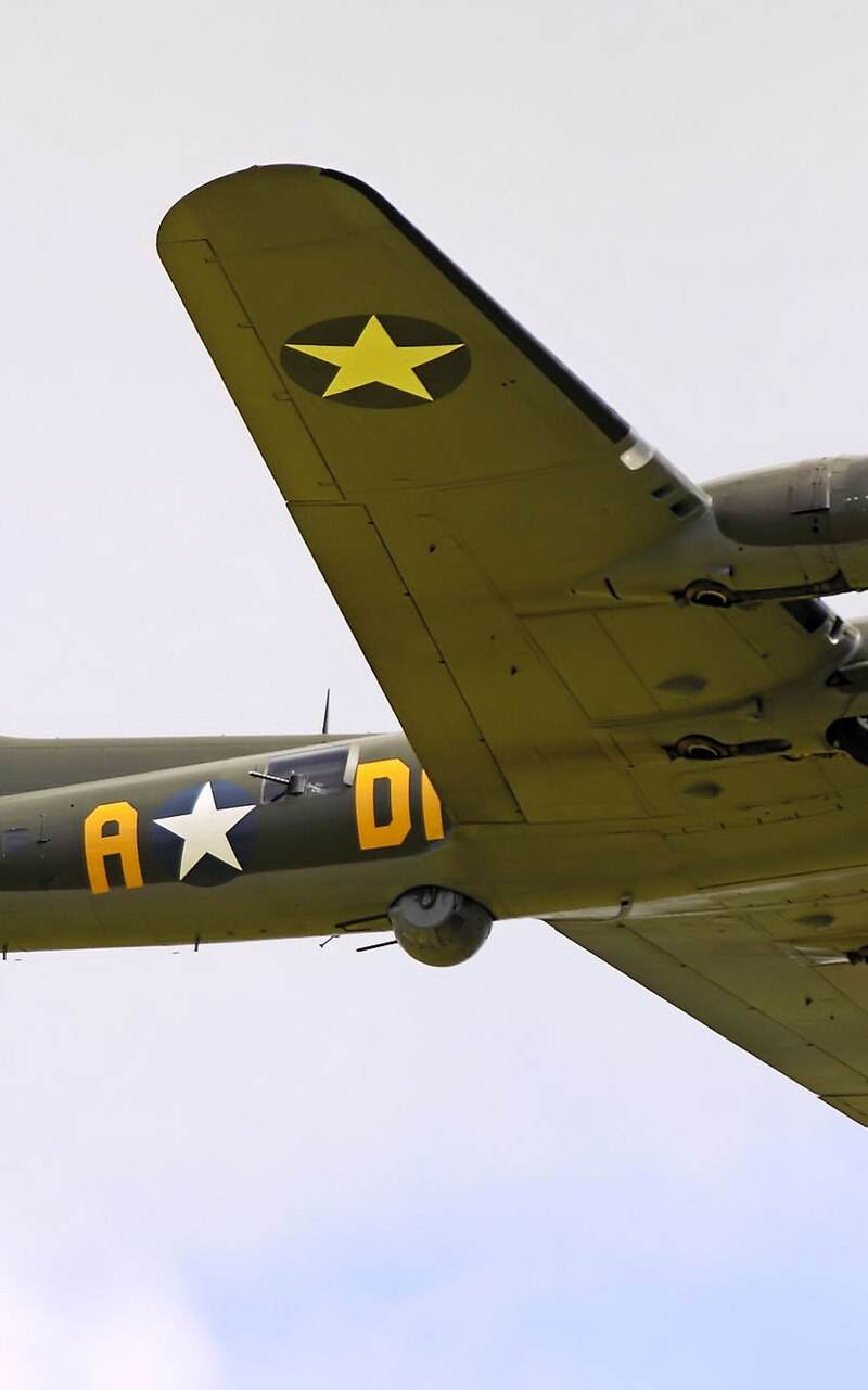  - Warbird