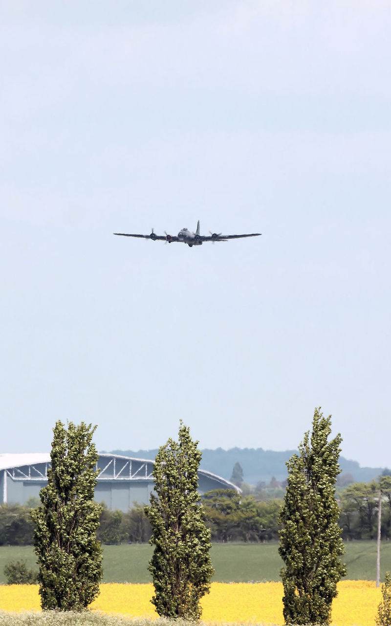  - Warbird