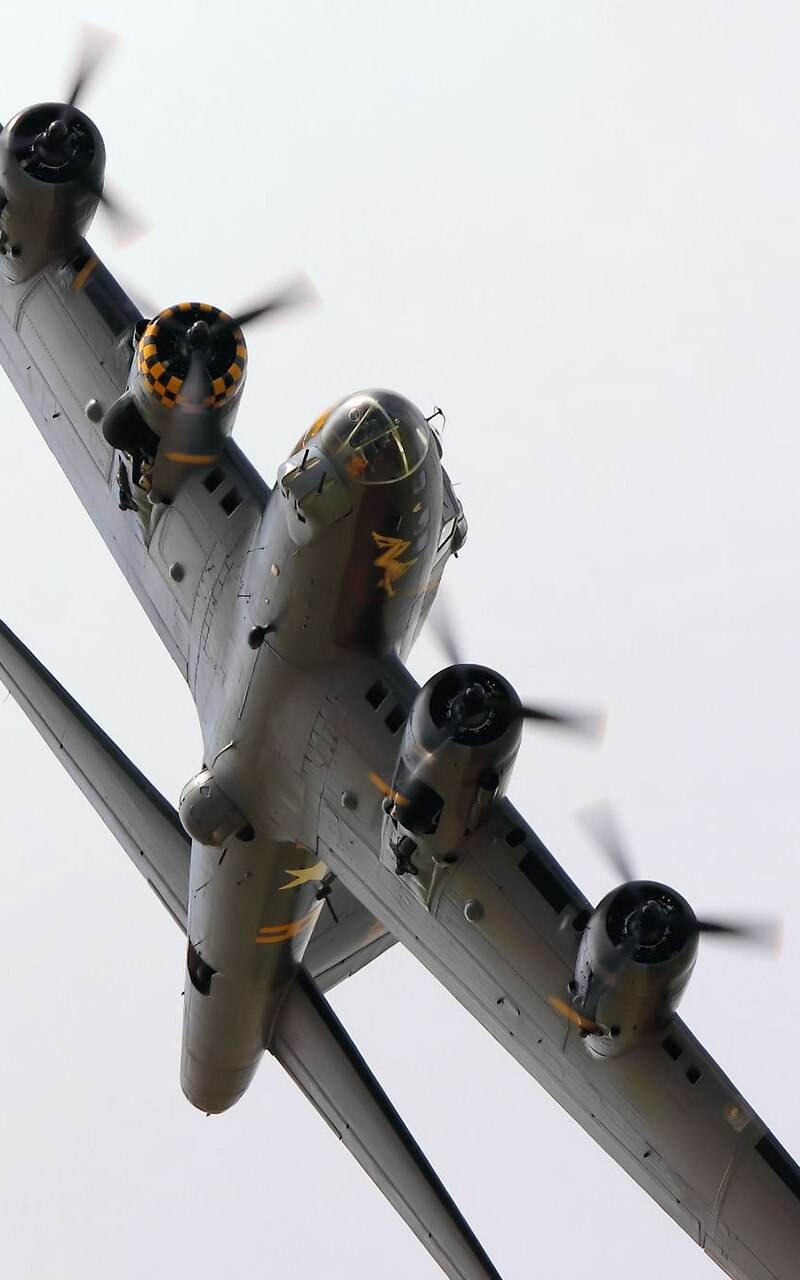  - Warbird