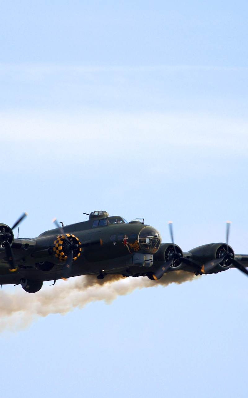  - Warbird