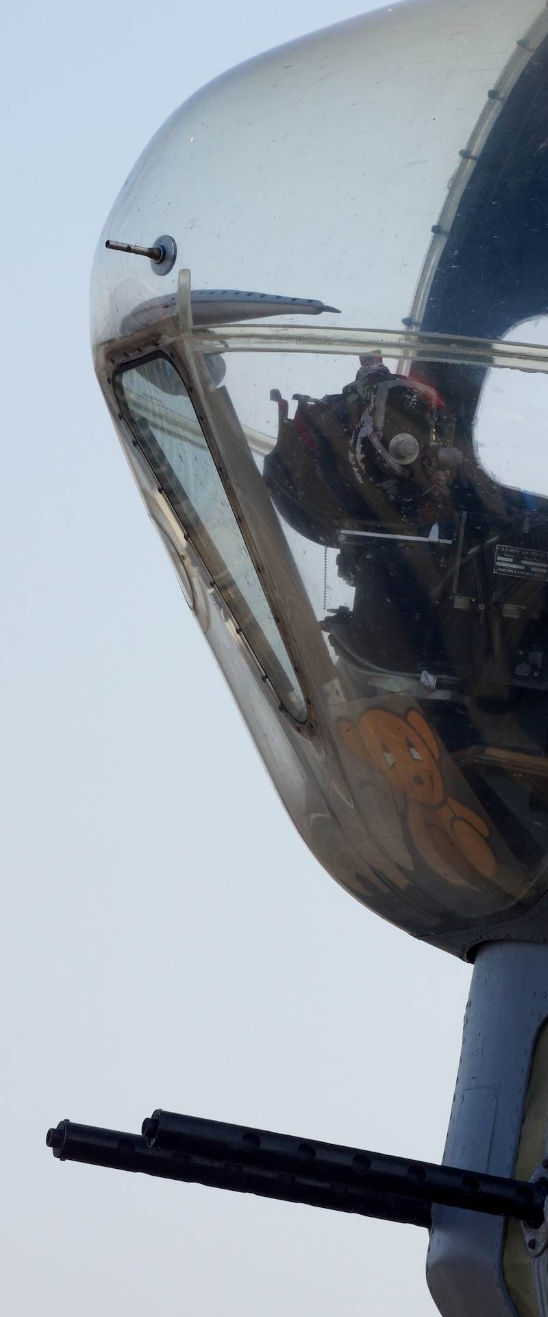  - Warbird