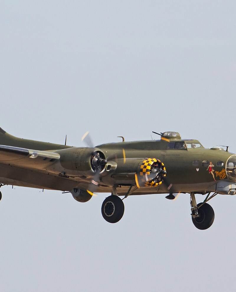  - Warbird